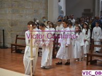 VIC 0866