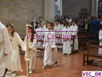 VIC 0876