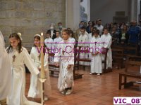 VIC 0878