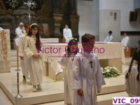 VIC 0990