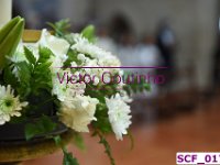 SCF 0174
