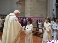 VIC 1217