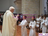 VIC 1232
