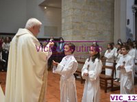 VIC 1233