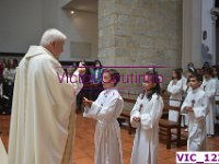 VIC 1234