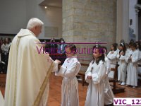 VIC 1236