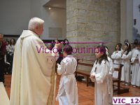 VIC 1243