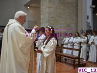 VIC 1330