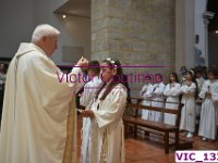 VIC 1331