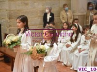 VIC 1045