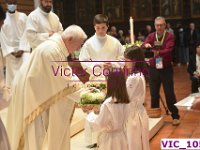 VIC 1058
