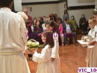 VIC 1065