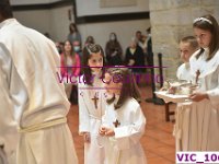 VIC 1067
