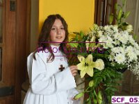 SCF 0522