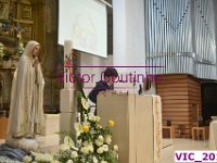 VIC 2014