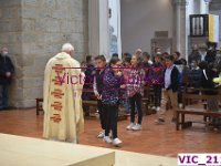VIC 2117