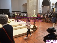 VIC 2234