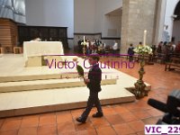 VIC 2294