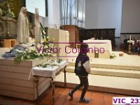 VIC 2334