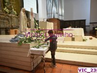 VIC 2388