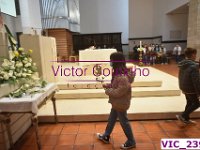 VIC 2394