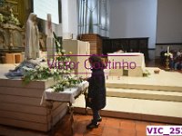 VIC 2533