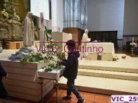 VIC 2595