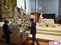 VIC 2597